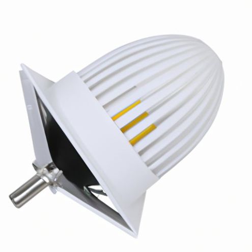 E27 lamp pluimveehokverlichting kip en niet-corrosieve voet IP68 dimbaar
