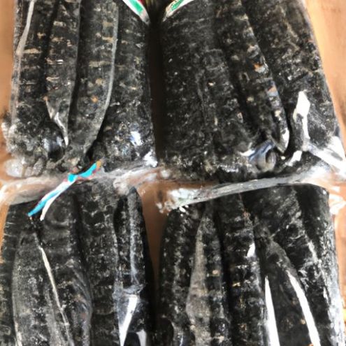 Fuscus Seegurke Malaysia Schwarz, natürlich, hochwertig, sonnengetrocknet, Beutelverpackung, Preis für getrocknete Seegurke mit 3 Jahren Haltbarkeit, 1 kg Kanto-Gurke Malediven