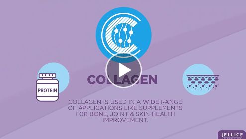 Nhà cung cấp Collagen Peptide loại 2 Ứng dụng tăng cường dinh dưỡng Giá thấp nhất