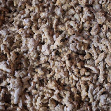 Koop gedroogde gember Kopersmarktprijs van biologische gember voor groothandel gember Beste kwaliteit op maat gemaakte groothandel vers