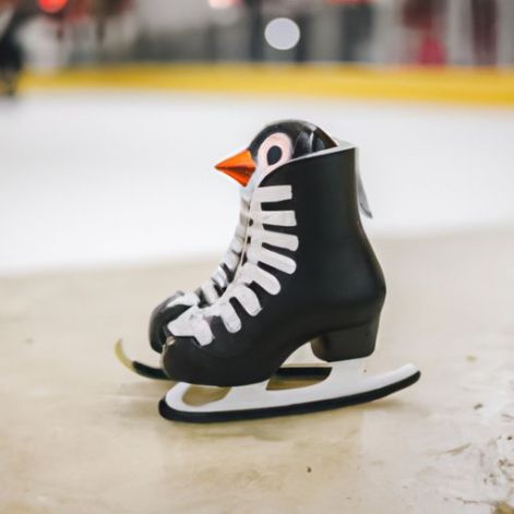 peralatan sepatu seluncur es Penguin untuk bantuan anak-anak untuk anak-anak, remaja dan orang dewasa Seluncur es gelanggang es Musim Dingin Khusus