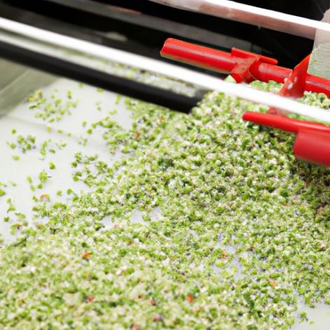 linha de produção de processamento de ervilhas venda de produção de tahine de gergelim quente Verde congelado rapidamente