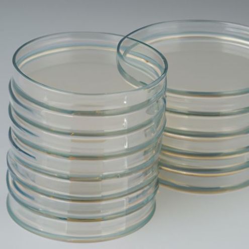 細胞培養皿 使い捨て皿 高品質 滅菌済 35mm 60mm 100mm 150mm 35mm*12mm ABC706006 培養皿 プラスチック シャーレ 研究室