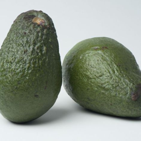 उच्च गुणवत्ता वाले समृद्ध हरे और प्रतिस्पर्धी मूल्य वाले फल, स्वस्थ थोक फल 100 प्रतिशत ताजा एवोकैडो हरा उष्णकटिबंधीय