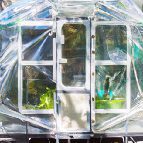 Hot House Mini Walk-in Green House ao ar livre com janelas e âncoras Jardim de plantas transparentes
