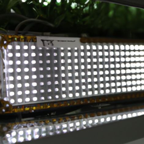 선형 모듈 아폴로 원예 50W LED LED 조명 광고 성장 조명 실내 온실 식물 원예 Zhaga 표준 112LED