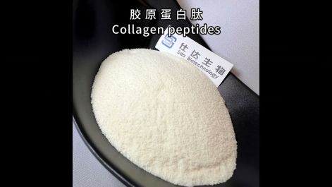 Bone Collagen Peptide Yogurt 0 Additives